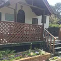 押し花の写真_308343