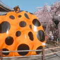 【閉館】フォーエバー現代美術館 祇園京都の写真_308493