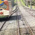 生駒鋼索線鳥居前駅の写真_308496