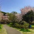 石神井公園の写真_308564
