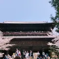 南禅寺の写真_309292