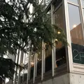 PATISSERIE OFUKU （パティスリー オフク）の写真_309414
