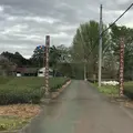 武者小路実篤記念新しき村美術館の写真_309537