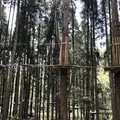 ターザニアの写真_309821