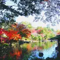成田山公園の写真_310283