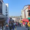 成田（成田山表参道）の写真_310297