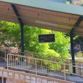 大山ケーブルカーの写真_310313