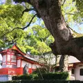 佐賀県護国神社の写真_310465