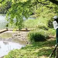 井の頭恩賜公園の写真_310758