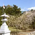 茨城県護国神社の写真_311436