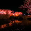 福井城址の写真_311473