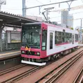 路面電車　都電荒川線の写真_311608
