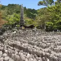 化野念仏寺の写真_311649