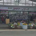 あしかがフラワーパークの写真_312017