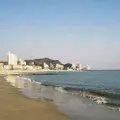 内海海岸海水浴場の写真_312353