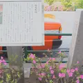 梅屋敷跡の写真_313225