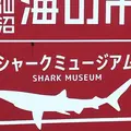 気仙沼シャークミュージアムの写真_314235