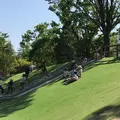 岐阜県こどもの国の写真_314692