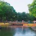 代々木公園の写真_314806