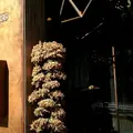 GODDESSの写真_315083