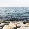 郡家港海浜公園の写真_316280