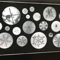 中谷宇吉郎雪の科学館の写真_316356