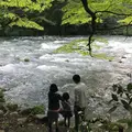 鶴仙渓の写真_316357