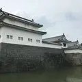 駿府城址の写真_316553