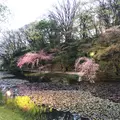 千秋公園の写真_317157