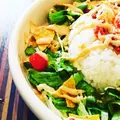 hole hole cafe＆diner 新宿東口 （ホレホレ カフェアンドダイナー）の写真_317975