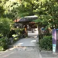 宇治上神社の写真_318212