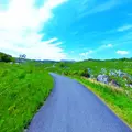平尾台自然観察センターの写真_318408