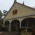 Dole Plantationの写真_318590