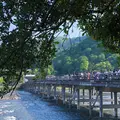 渡月橋の写真_318638