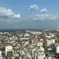 NEXT 21の写真_319467