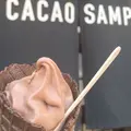 ＣＡＣＡＯＳＡＭＰＡＫＡの写真_319624