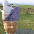 レークヒル・ファームの写真_321071