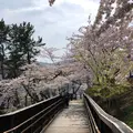 函館公園の写真_321209