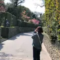 知覧武家屋敷庭園群の写真_321277