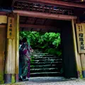 瑠璃光院の写真_321458