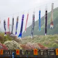 月川の写真_321576