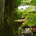 光前寺の写真_321593