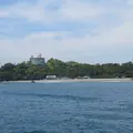 桂浜の写真_321602