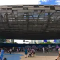 上海の写真_321608