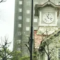 札幌市時計台の写真_321747