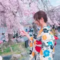 嵐山公園の写真_322147