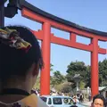 鶴岡八幡宮の写真_322820