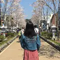 段葛の写真_322848