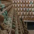 八坂寺の写真_323066