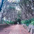 酒列磯前神社の写真_323131
